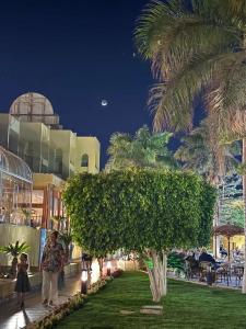 Palm Beach Resort Families and Couples only - 73