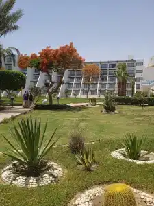 Shams Safaga Resort - 17