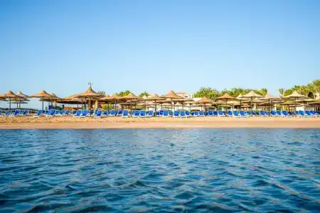 Ivy Cyrene Sharm Resort Adults Friendly Plus 13 - 60