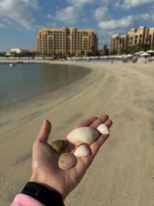 DoubleTree by Hilton Resort & Spa Marjan Island - 20