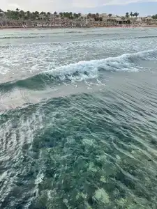 Parrotel Lagoon Waterpark Resort - 9