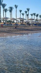 Pickalbatros Laguna Vista Aqua Park - Sharm El Sheikh - 14