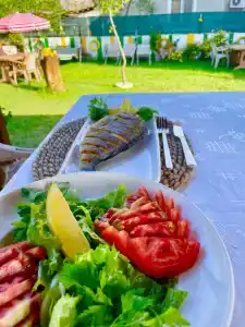 Dalaman Airport AliBaba House - 48