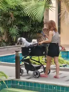 Long Beach Garden & Pavilions - 31