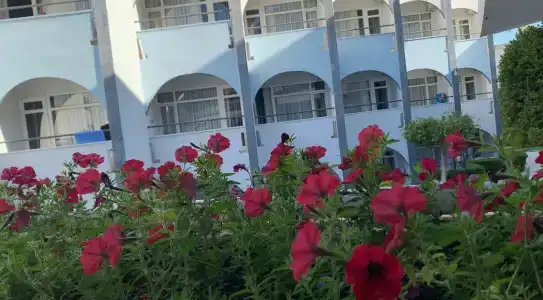 Armas Bella Sun - 45