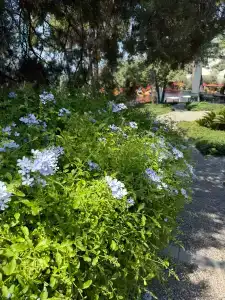 Rixos Premium Bodrum - 42