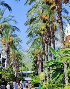 Crystal Aura Beach Resort & Spa - Ultimate All Inclusive - 11