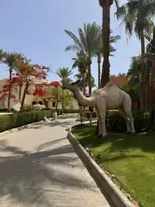 Jaz Makadi Star & Spa - 20