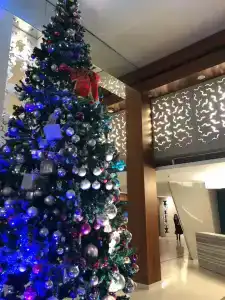 Burgu Arjaan by Rotana Istanbul Asia - 22