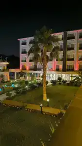 Lara Garden Butik - 80