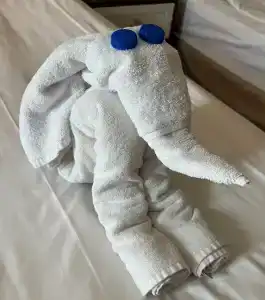 Fame Residence Kemer & Spa - 39