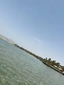 Palm Royale Resort - Soma Bay - 48