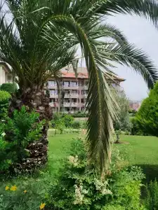 Adalya Art Side - All Inclusive - 29