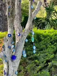 NG Phaselis Bay - 70