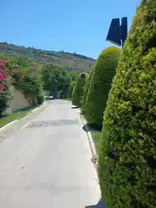 Aria Claros Beach & Spa Resort – All Inclusive 24H - 42