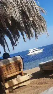 Amphoras Beach - 48