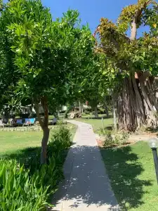 Laguna Beach Alya Resort & Spa - 74