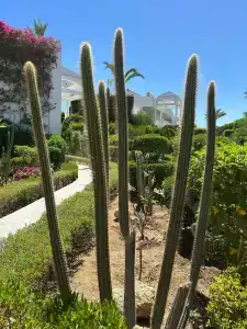 Monte Carlo Sharm Resort & Spa - 83