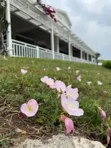 Club Marco Polo - Premium All Inclusive - 32