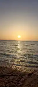 Parrotel Beach Resort - 43