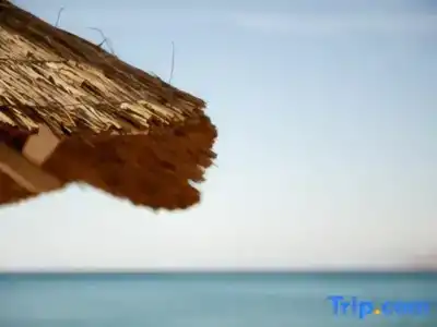 Leonardo Plaza Eilat - 5