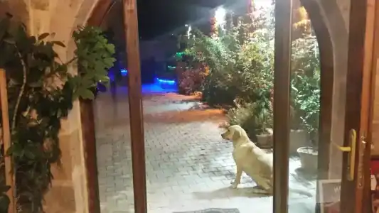 Family Cave Suite - 10