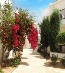 Akti Beach & Village Resort - 25