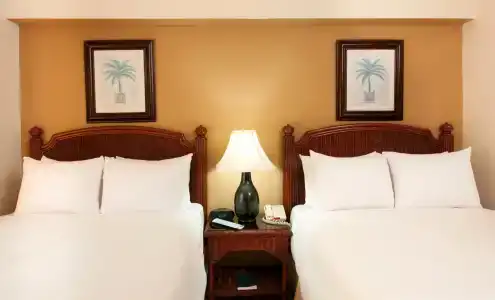 Occidental Caribe - All Inclusive (former Barcelo Punta Cana) - 98