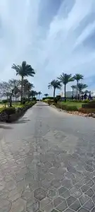 Renaissance Sharm El Sheikh Golden View Beach Resort - 53