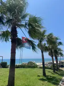 Tuı Magic Life Jacaranda - 69