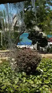 Club Resort Atlantis - 39