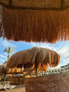 Sunny Days Palma De Mirette Resort & Spa - 100