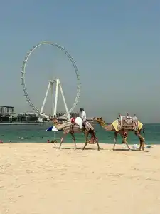 Roda Amwaj Suites Jumeirah Beach Residence - 72