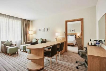 Hilton Garden Inn Dubai Mall Of The Emirates - 55