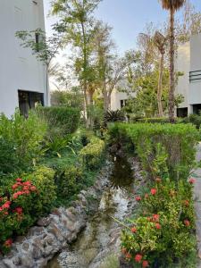 Dubai Marine Beach Resort & Spa - 91