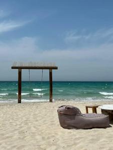 Umm Al Quwain Beach - 59