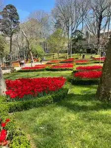 Romance Istanbul Boutique Class - 8