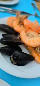 Grand Nar Adults Only - 41