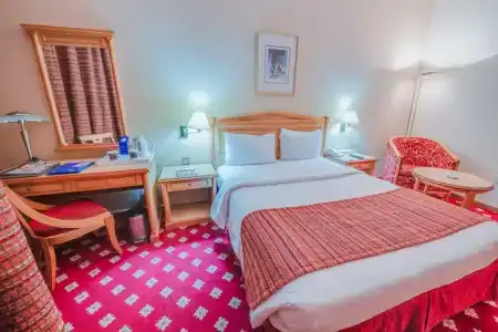 Grand Continental Flamingo - 27