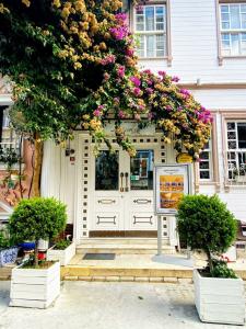 Avicenna Sultanahmet - 44