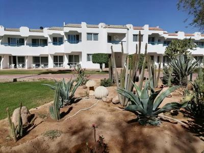 Dreams Vacation Resort - Sharm El Sheikh - 22