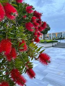 Four Seasons Istanbul at the Bosphorus - 14