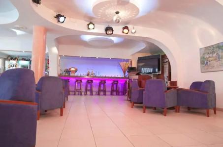 Vibra Palma Cactus - 97