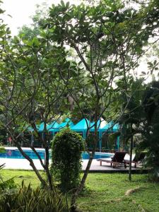 Deevana Patong Resort & Spa - SHA Extra Plus - 91