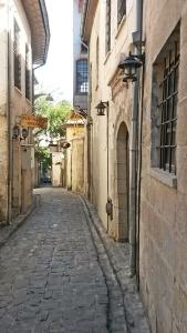 Zeynep Hanim Konagi - 13