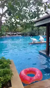 Naithonburi Beach Resort - SHA Extra Plus - 62