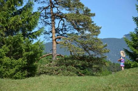 Rheinischer Hof - 59