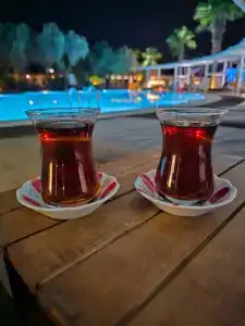 Latanya Park Resort - 27