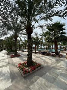 Hilton Ras Al Khaimah Beach Resort - 77