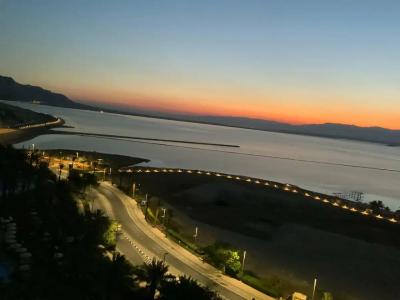 David Dead Sea Resort & Spa - 1